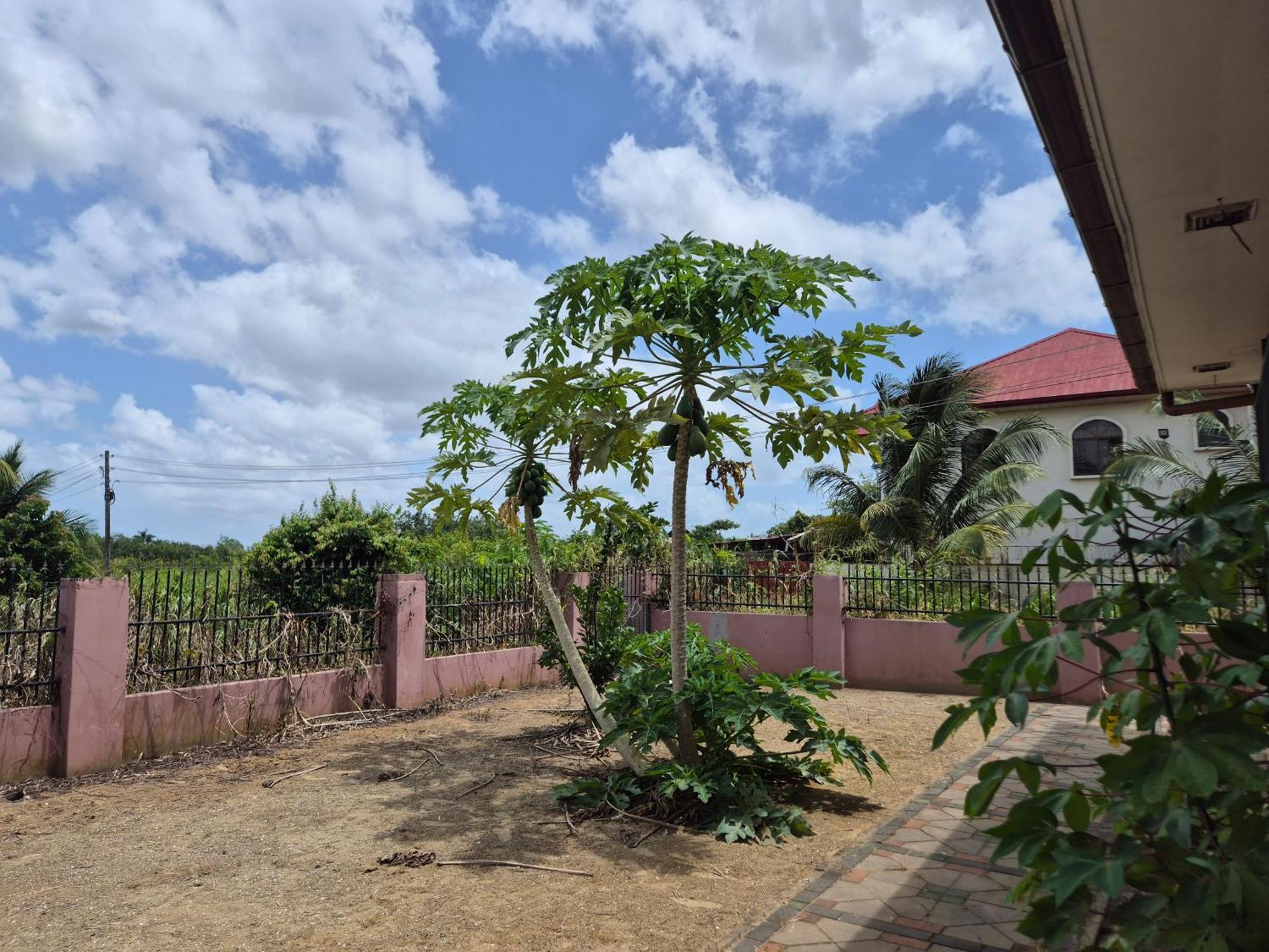 Chander'S Villa Paramaribo Esterno foto