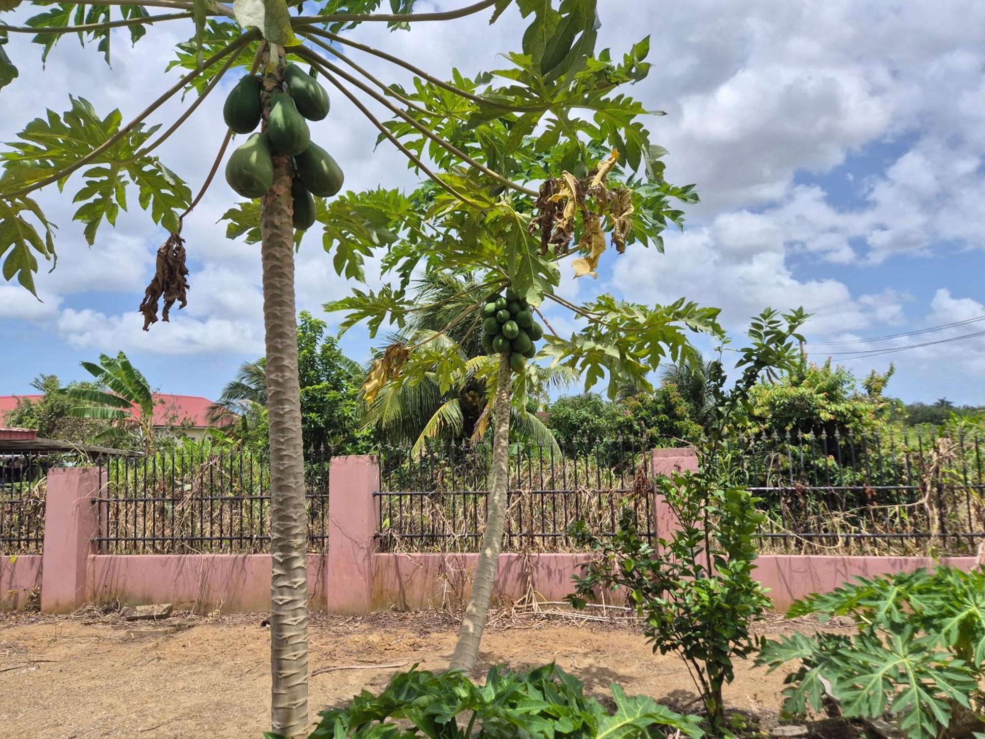 Chander'S Villa Paramaribo Esterno foto