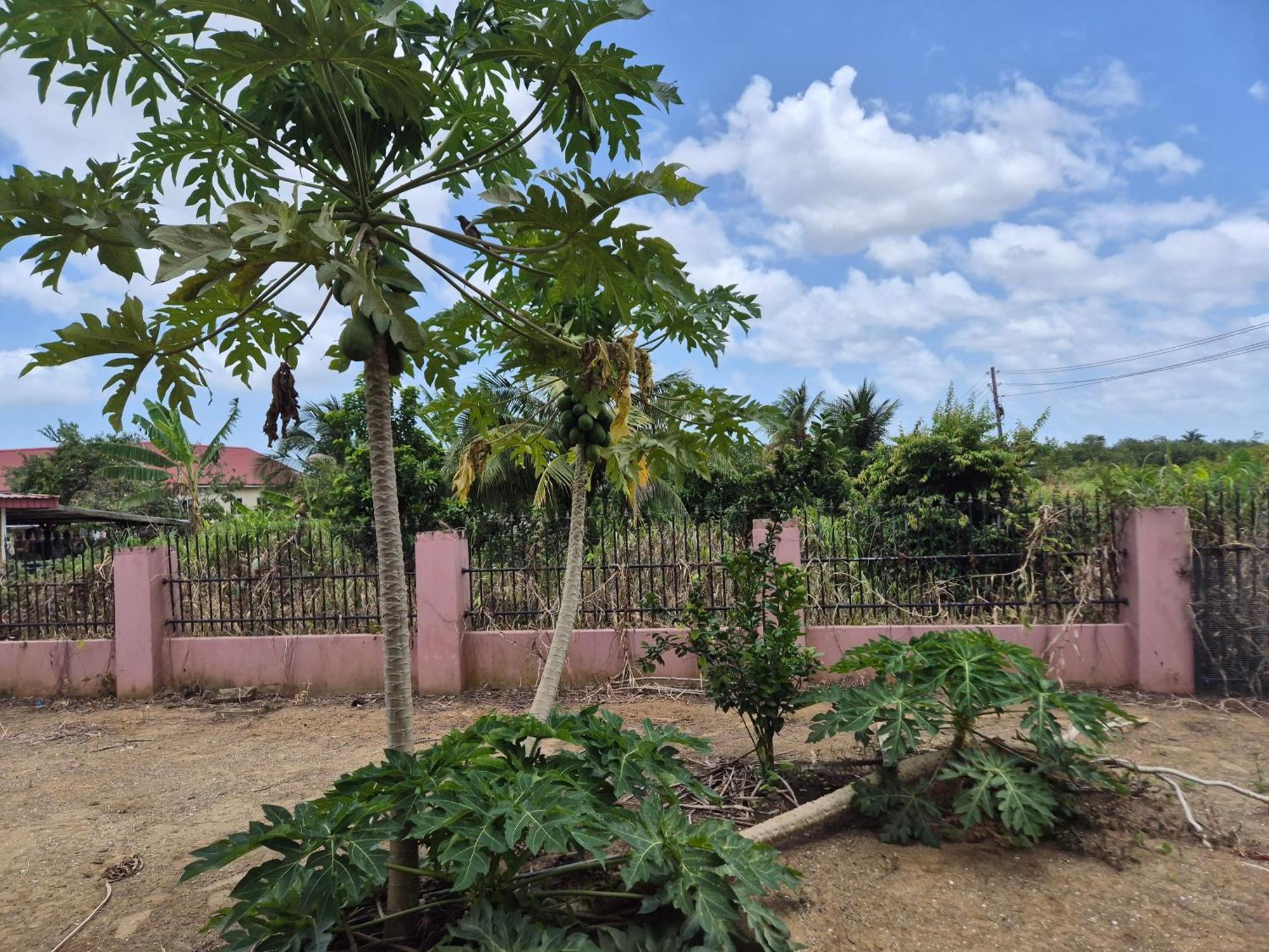 Chander'S Villa Paramaribo Esterno foto